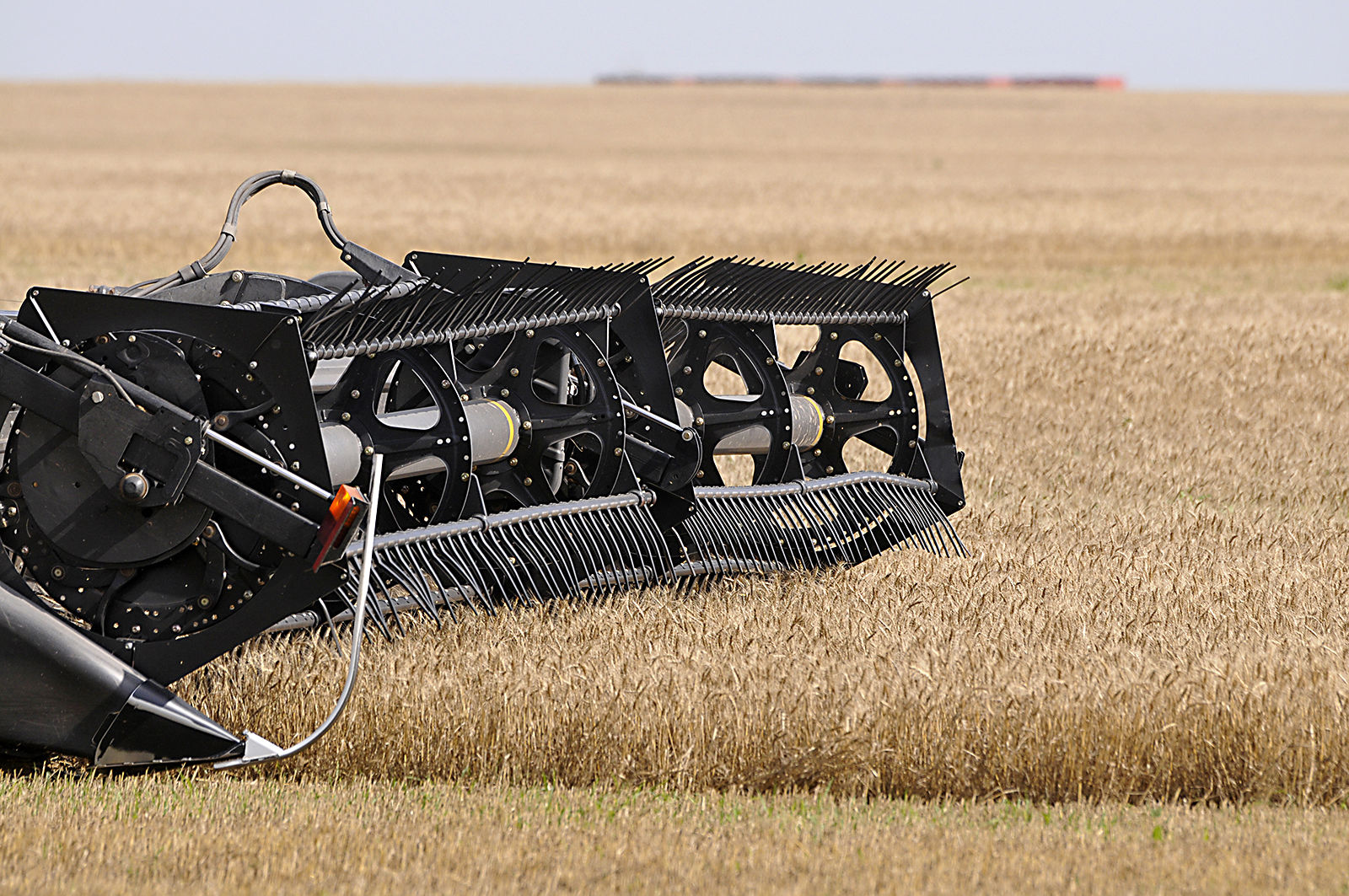 Progress Farming Wheat 2 BH.jpg